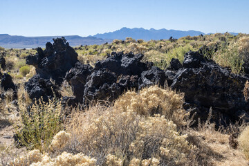 Lava rock formations contrast with desert vegetation under a clear blue sky in a remote location