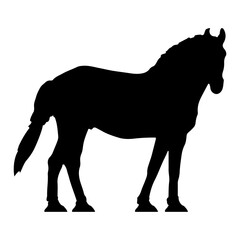 horse silhouette icon or element png