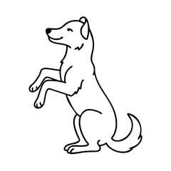 dog sitting on hind legs icon