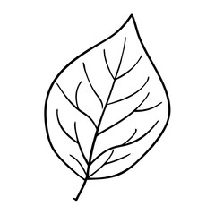 green leaf icon, green leaf line art - simple line art of green leaf, perfect for green leaf logos and icons