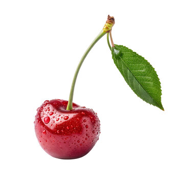 recommend clip art: Juicy Red Cherry with Dew Drops Fresh Fruit Leaf Stem