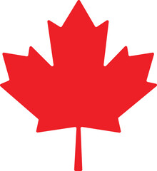 canadian flag on a white background, maple leaf on a white background
