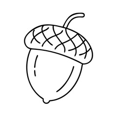 acorn icon, acorn line art - simple line art of acorn, perfect for acorn logos and icons