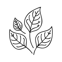 amber leaves icon, amber leaves line art - simple line art of amber leaves, perfect for amber leaves logos and icons