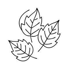 autumn leaves icon, autumn leaves line art - simple line art of autumn leaves, perfect for autumn leaves logos and icons