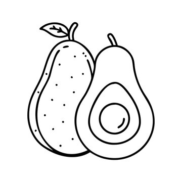 recommend clip art: avocado icon, avocado line art - simple line art of avocado, perfect for avocado logos and icons