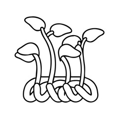 bean sprout icon, bean sprout line art - simple line art of bean sprout, perfect for bean sprout logos and icons