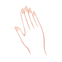 綺麗な手指のイラスト
