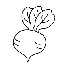 beetroot icon, beetroot line art - simple line art of beetroot, perfect for beetroot logos and icons