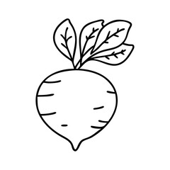 beetroot icon, beetroot line art - simple line art of beetroot, perfect for beetroot logos and icons