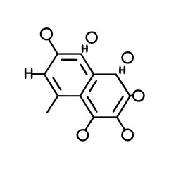 caffeine molecule icon, caffeine molecule line art - simple line art of caffeine molecule, perfect for caffeine molecule logos and icons