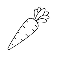 carrot icon, carrot line art - simple line art of carrot, perfect for carrot logos and icons