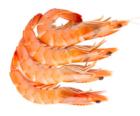 Top view of four orange cooked or boiled prawns in vertical isolated and generated with AI in png file format