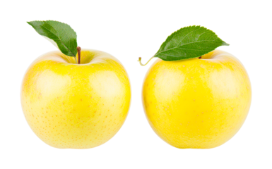 Fresh juicy yellow apples with green leaves on display, cut out - stock png.