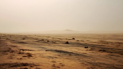 Desolate Landscape with Muted Browns, Tans, and Yellow Hues Under an Overcast Sky in a Vast Canvas