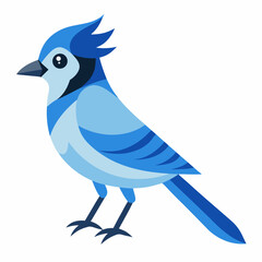 blue bird on a branch