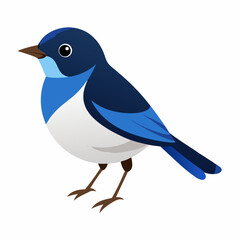 blue penguin cartoon