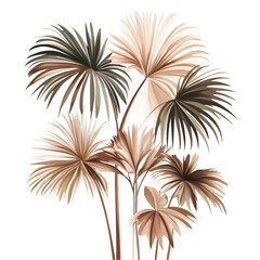 Obraz premium Abstract fluffy feathery beige brown elements