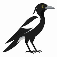 silhouette of a bird