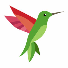 bird of paradise