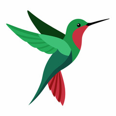 Obraz premium hummingbird and flower