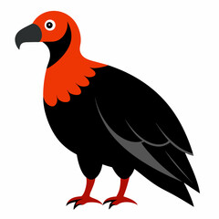 bird of prey