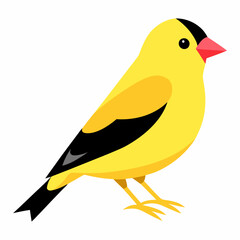 yellow bird on a branch