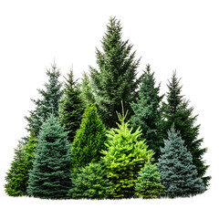 Abstract green trees design element