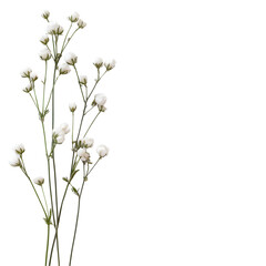 Fototapeta premium Black and white abstract decorative element