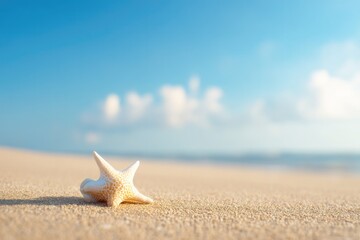 minimalistic photo capturing essence of start of summer with clear blue sky and gentle sunlight casting soft shadows