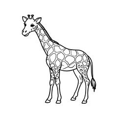 Fototapeta premium Giraffe Line Art Illustration. Black and White Animal Drawing