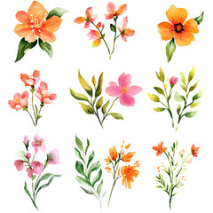 Obraz premium Colorful floral pattern design