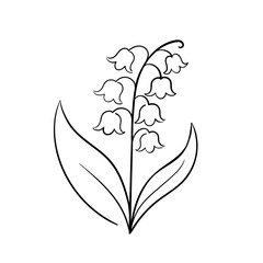 Lily of the Valley Line Art. Hand drawn line art lily of the valley flowers.