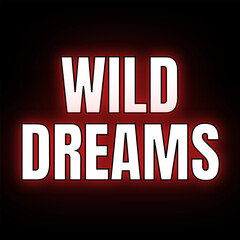 Vector text illustration for Wild Dreams.