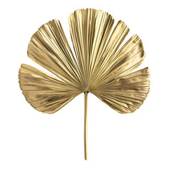 Dried ginkgo leaf decorative pattern