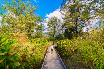 Fototapeta premium Walk in Benjakitti park in Bangkok