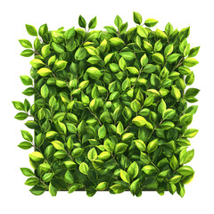 Fototapeta premium Green geometric pattern texture background