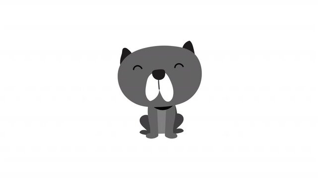 cute dog cartoon animation