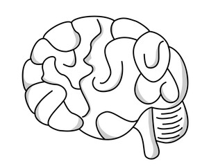 Understanding the Mysteries of the Human Brain A Comprehensive Exploration