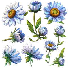 Fototapeta premium Light blue and white flowers pattern design