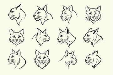 logo type of a bobcat head, labeled line art vector design illustration.