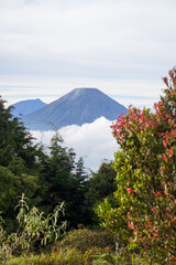Panoramic view of Mount Prau, Central Java, Indonesia, captured on April 28, 2025. Gentle green slopes and distant peaks stretch under a bright blue sky, showcasing breathtaking natural beauty