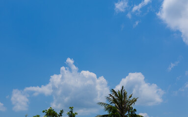 Obraz premium Beautiful Cumulus Clouds Against a Vibrant Blue Sky