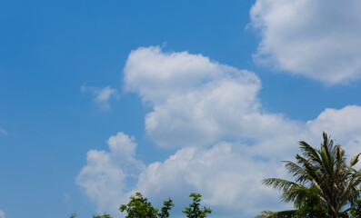 Beautiful Cumulus Clouds Against a Vibrant Blue Sky