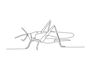 Continuous one line drawing of grasshopper - locust. Grasshopper outline illustration. Editable vector.