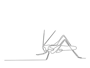 Continuous one line drawing of grasshopper - locust. Grasshopper outline illustration. Editable vector.