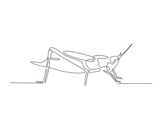 Continuous one line drawing of grasshopper - locust. Grasshopper outline illustration. Editable vector.