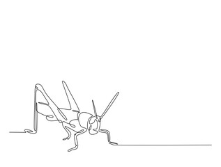 Continuous one line drawing of grasshopper - locust. Grasshopper outline illustration. Editable vector.