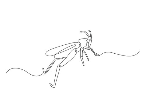 recommend clip art: Continuous one line drawing of grasshopper - locust. Grasshopper outline illustration. Editable vector.