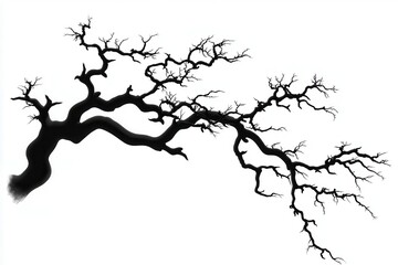 Abstract black tree branch silhouette with intricate twigs against a white background